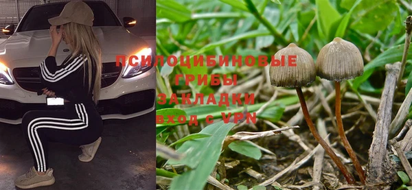 2c-b Касимов