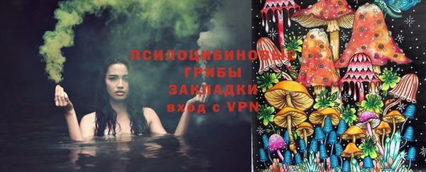 2c-b Карталы