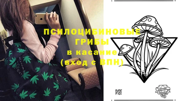 2c-b Касимов