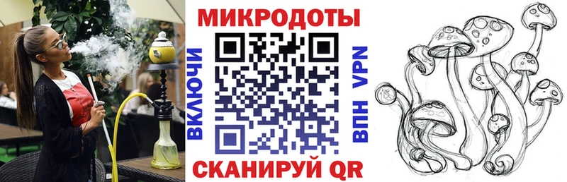 Псилоцибиновые грибы Psilocybe Жигулёвск